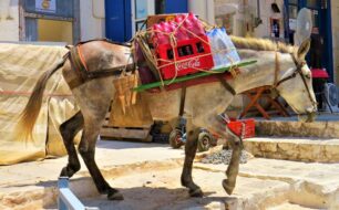 Public Transport on Hydra