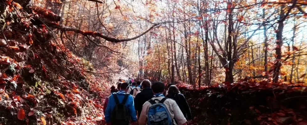 Hiking near Ayiassos on Lesvos