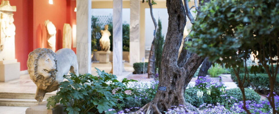 The National Archaeological Museum in Athens
