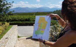 Touring the Lyrarakis Winery on Crete