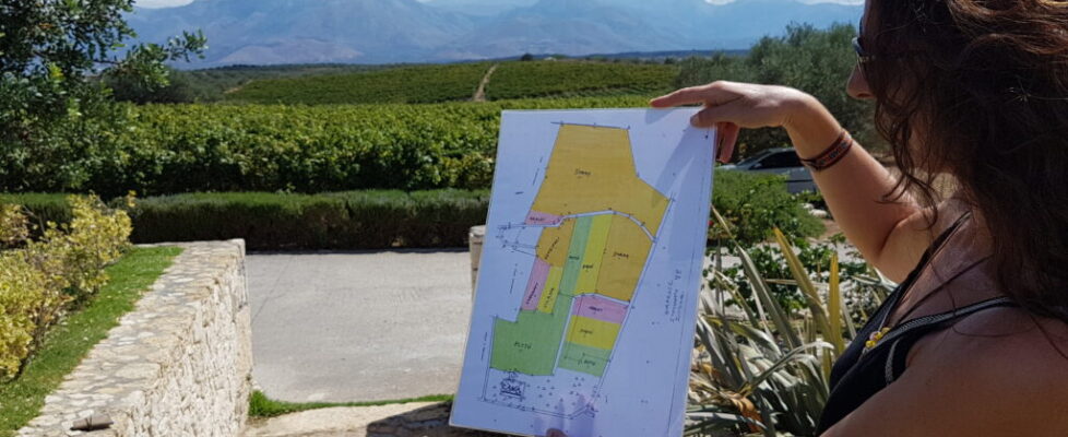 Touring the Lyrarakis Winery on Crete