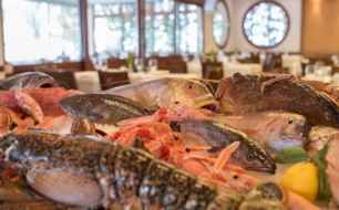 Dourabeis Restaurant in Piraeus